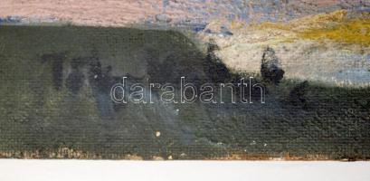 Tölg-Molnár Zoltán (1944-): Táj. Olaj, farost, jelzett, 60×80 cm