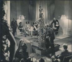 cca 1940 Korabeli fotó: Jelenet egy régi filmből: Sziámi macska(?), 21x24cm