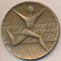 Vincze Dénes (1914-1972) 1965. "FISU Világversenyei Universiade 1965 Budapest" Br emlékére...