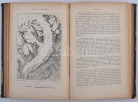 Szabó József: Geológia kiváló tekintettel a petrografiára, vulkánosságra és hidrografiára
Bp., 1883...