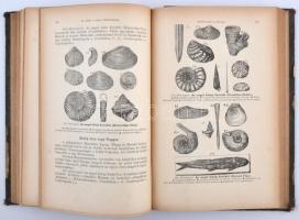 Szabó József: Geológia kiváló tekintettel a petrografiára, vulkánosságra és hidrografiára
Bp., 1883...