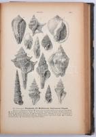 Szabó József: Geológia kiváló tekintettel a petrografiára, vulkánosságra és hidrografiára
Bp., 1883...