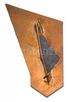 1966. "Siófoki Gyógyszeranalitikai Konferencia 1966" zománcozott fém jelvény T:2