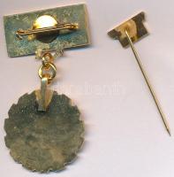 ~1960-70. "Törzsgárda Utasellátó" zománcozott fém jelvény, kitűzővel együtt T:2