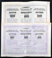 Budapest 1922-1923. Mezőgazdasági Ipar-Részvénytársaság részvénye 1000K-ról és 10.000K-ről szelvényekkel, bélyegzéssel és szárazpecséttel T:II