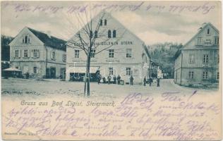 Ligist, Gasthof zum Goldenen Stern / guest house, shop of Heinrich Fink (small tear)