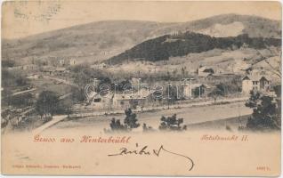 1899 Hinterbrühl (wet damage)