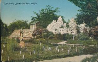 Kolozsvár, Botanikus kert / botanical garden (wet damage)