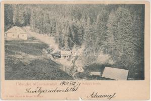 Suliguli-forrás / fountain (b)