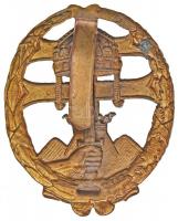 ~1940. "Csapattiszti jelvény" zománcozott kitüntető jelvény jelzés nélkül T:2 kis zománchi...