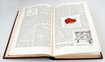 Gutenberg Nagy Lexikon 8 köteta sorozatból. Bp., 1931, A Nagy Lexikon Kiadóhivatala, Kiadói félbőr k...