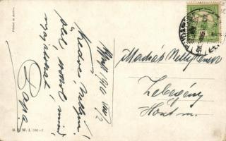 Hunters B.K.W.I. 306-1 s: Schönpflug