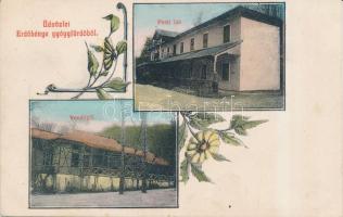 Erdőbénye gyógyfürdő, Pesti lak, Vendéglő, floral, Klein József kiadása