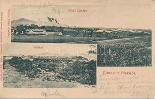 Piski, Fűtőház, Gyulai József kiadása