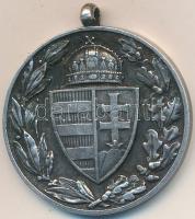 1929. "Magyar Háborús Emlékérem kardok és sisak nélkül" ezüstözött bronz kitüntetés mellszalag nélkül, "BRONZ" jelzéssel a peremen T:2 NMK 419.