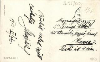 Hunters B.K.W.I. 306-5 s: Schönpflug