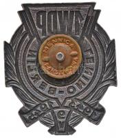 Lengyelország 1945. "Első Lengyel Tadeusz Kosciuszko Gyaloghadosztály" zománcozott jelvény...