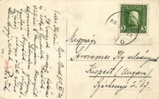 Bosanski Brod, Savski mlinovi / Save Mühlen / water mill on River Sava