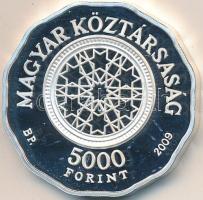 2009. 5000Ft Ag "Dohány utcai zsinagóga" T:PP