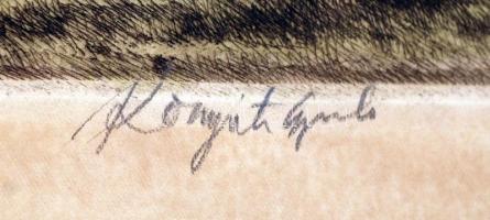 Komjáti-Wanyerka Gyula (1894-1958): Romantikus táj. Dévény. Színezett rézkarc, papír, jelzett, 29x40...