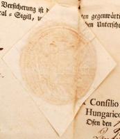 1791 a Magyar Kamara katonai beszolgáltatási jegyzéke a Torontál vármegyei Mocsony-család egy tagján...