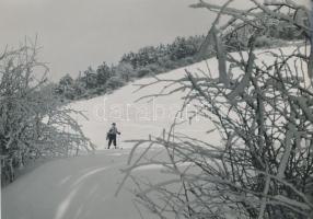 cca 1935 Sítúra a Budai-hegyekben, jelzetlen kép Reich Péter Cornel hagyatékából, 20x29 cm
