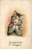 Name day, cat, litho