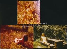 cca 1980 Kerek erdő közepében, 9 db finoman erotikus fénykép, 9x13 cm / cca 1980 9 erotic photos, 9x13 cm