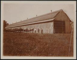 cca 1890 Dohánytermelés, szárítás, a kép sarkán törésvonal, 9x12 cm