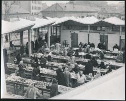 cca 1965 Eger, vadiúj piacteret építettek ötven évvel ezelőtt, 21x17 cm