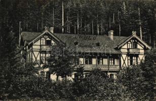 Lublófürdő, Lubovnianske kúpele; Aurora villa / villa (EB)