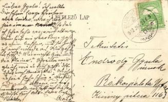 Balatonfüred, Dr. Vadnay Béla szőlőtelepe