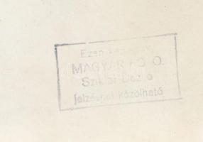 cca 1954 Tihany, Park szálló, Sziklai Dezső felvétele, pecséttel jelzett, feliratozott, 18x24 cm