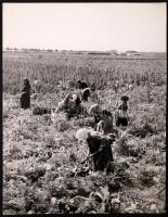 cca 1935 Reich Péter Cornel: Római fürdő melletti munkásnők, pecséttel jelzett, feliratozott vintage fotó a szerző hagyatékából, 30x24 cm