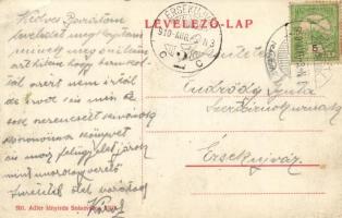 1909 Piski, Főtér, piac; Adler fényirda, Szászváros / Hauptplatz / main square (EB)