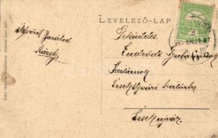 1910 Pihenő román csoport; Adler fényirda, Szászváros / Romanian peasants, folklore (EK)