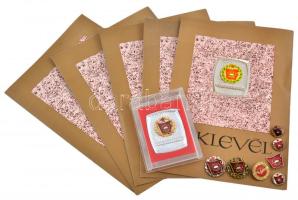 ~1960-1970. "Szocialista Brigád - A szocializmusért" arany változat plasztiktokban + 6db kis "Szocialista Brigád" jelvény + 5db "A Szocialista Brigád" viselésére jogosító kitöltetlen oklevél + "Kiváló Szocialista Brigád" aranyozott fém jelvény T:vegyes