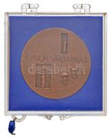 Csúcs Viktória (1934-1993) DN "Hódmezővásárhely Tanácsháza" fém emlékérem (32mm) + Lapis András (1942-) DN "Gyulai Várszínház" Br emlékérem (43mm) T:2 oxidáció