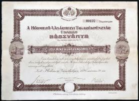 Hódmezővásárhely 1926. "Hódmező-Vásárhelyi Takarékpénztár" részvénye 20P-ről, szárazpecséttel T:II-