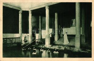 Pöstyénfürdő, Bad Piestany; Pro Patria munkáskórház iszap medencéje / mud pool in the workers' hospital, spa