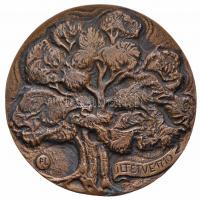 1989. "Bábolna 1789-1989 / Ültetve 1710" Br emlékérem. Szign.: PL (95mm) T:2-