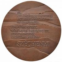 Csíkszentmihályi Róbert (1940-) 1989. "Széchenyi Istán" Br plakett (102mm) T:2