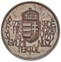 Ligeti Erika (1934-) DN "A Közlekedésért / A Közlekedési, Hírközlési és Vízügyi minisztertől&qu...