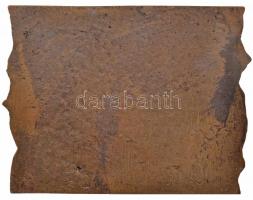 DN "Kőrösi Csoma Sándor" egyoldalas Br plakett (89x112mm) T:2