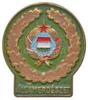 ~1960. "Államerdészet" festett, aranyozott fém jelvény (45,5x40,5mm) T:2 kopott aranyozás