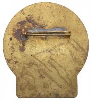 ~1960. "Államerdészet" festett, aranyozott fém jelvény (45,5x40,5mm) T:2 kopott aranyozás