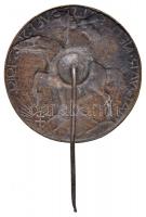 Szamosi Soós Vilmos (1885-1972) DN "Magyar Nemzeti Szövetség 1919" Br jelvény (27mm) T:2
H...