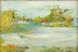 Dézsi Éva (1929-): Fertő tó. Olaj, farost, jelzett, keretben, 8×12 cm