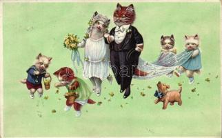Cat wedding, humour