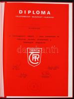 TERTA Telefongyárért végzett kiemelkedő munkáért kapott diploma